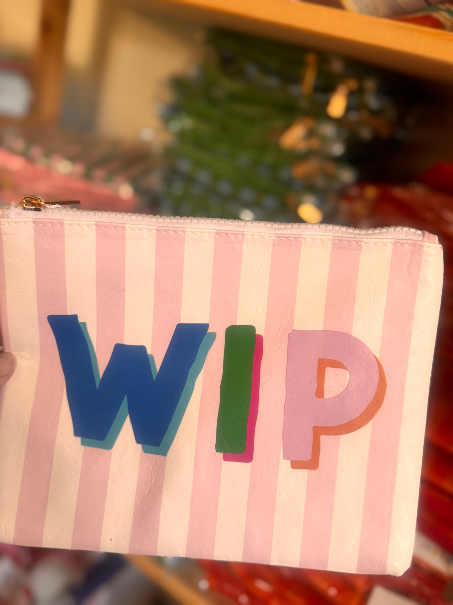 WIP Stripe Flat Zip | Medium Project Bag | Grandma Hobby x Aspen Lane